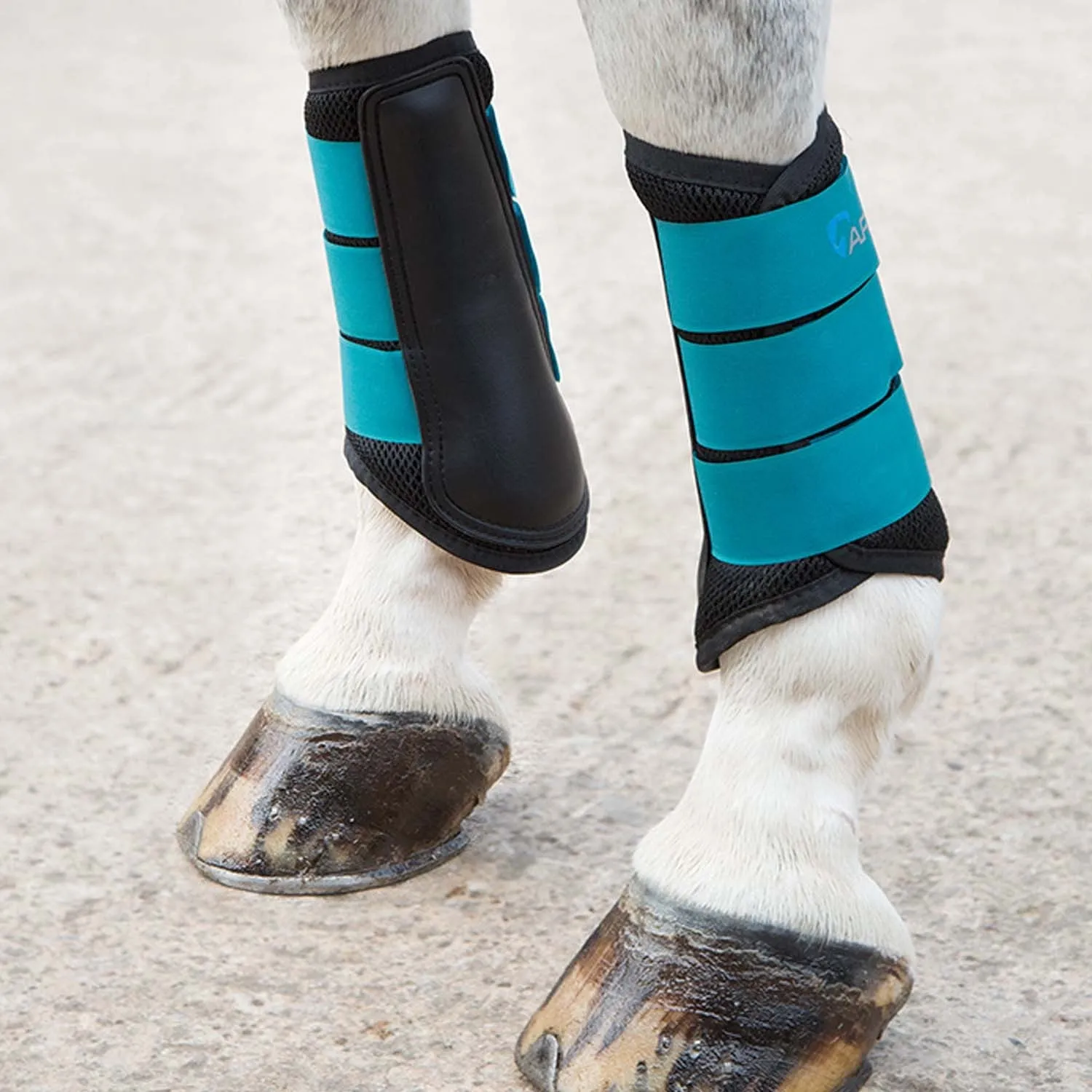 Shires Arma Air Motion Brushing Boots