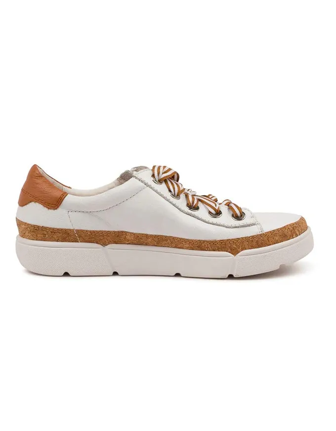 Torayne Sneakers White Scotch